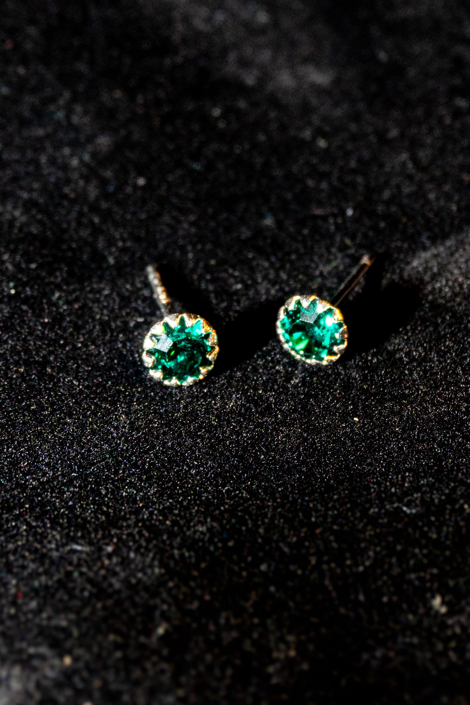 Wild Halo Silver Earrings
